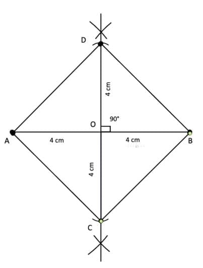 Quadrilaterals NCERT Solutions | Mathematics Class 8- New NCERT (Ganita Prakash)