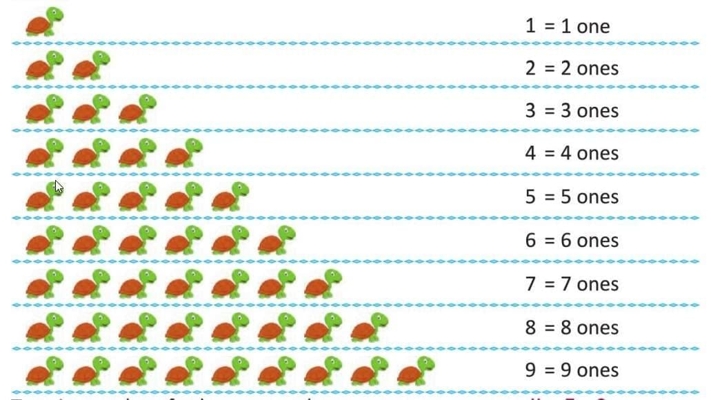 Numbers from 10 to 20 Chapter Notes | Mathematics Class 1 ICSE