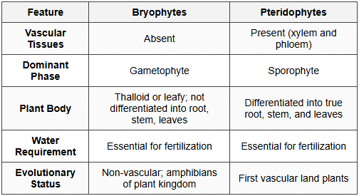 8. Comparison: Bryophytes vs Pteridophytes