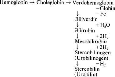 Revision Notes: The Excretory System [Elimination of Body Wastes] | Biology for SSS 2