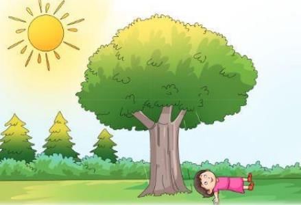 Summary: Friends | English Class 2 ICSE