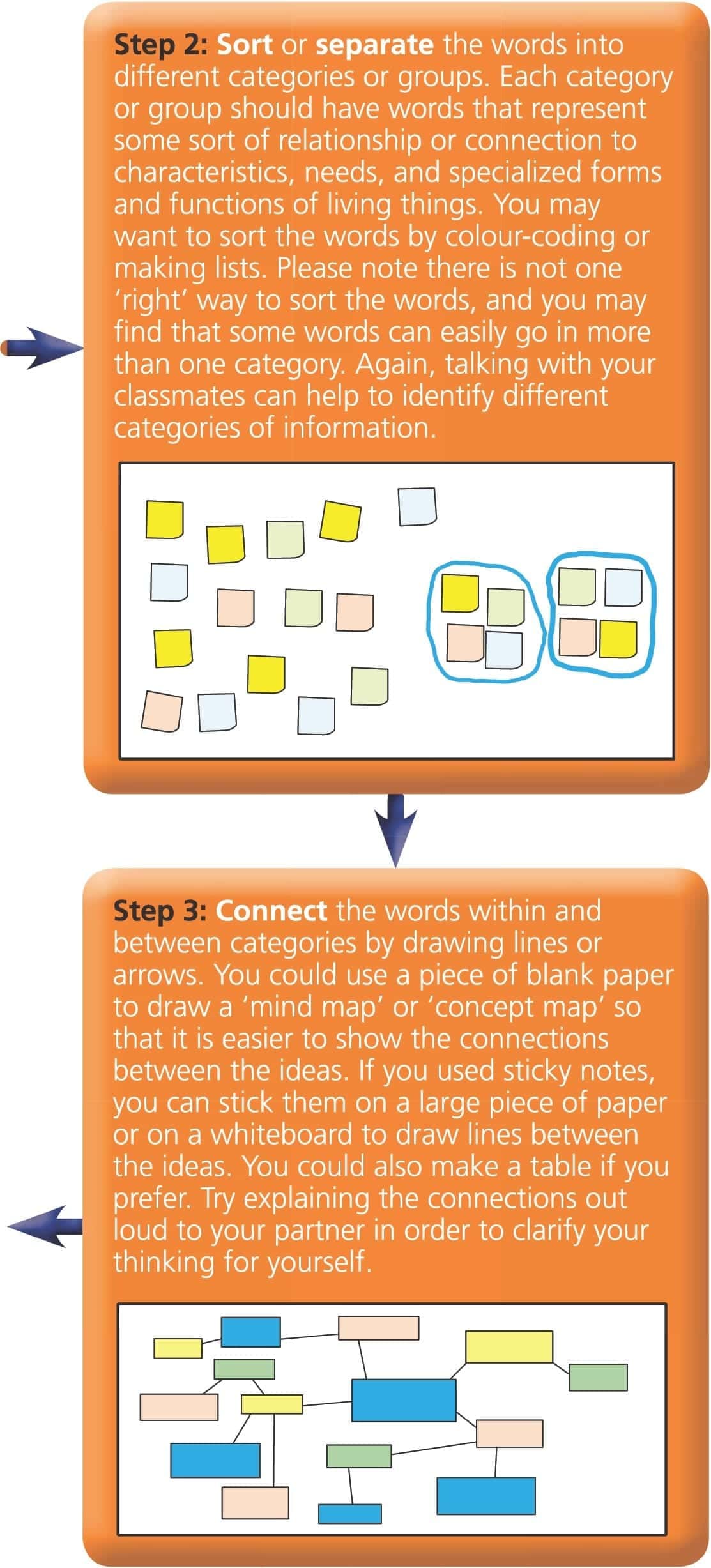 How do living things work Chapter Notes - IB Grade 6 Science - Grade 6