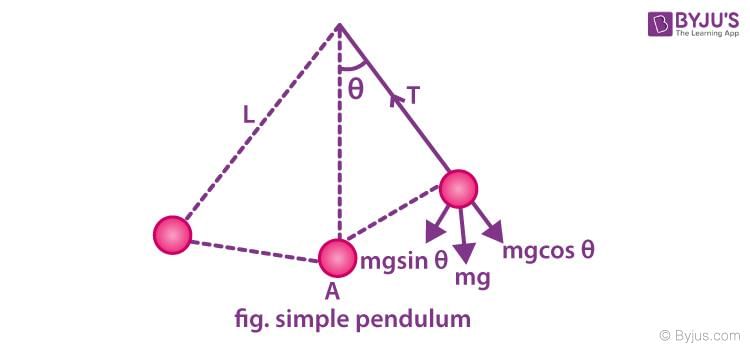 answer Image
