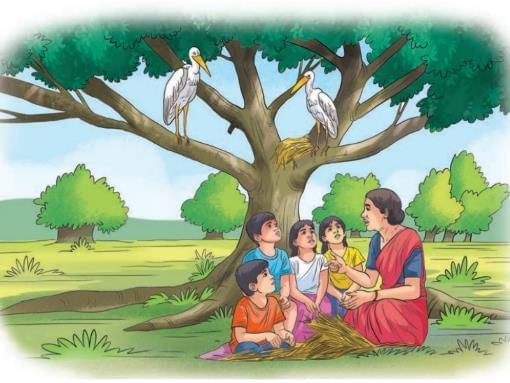 Some Unique Places Chapter Notes | Our Wondrous World  Class 5 - New NCERT
