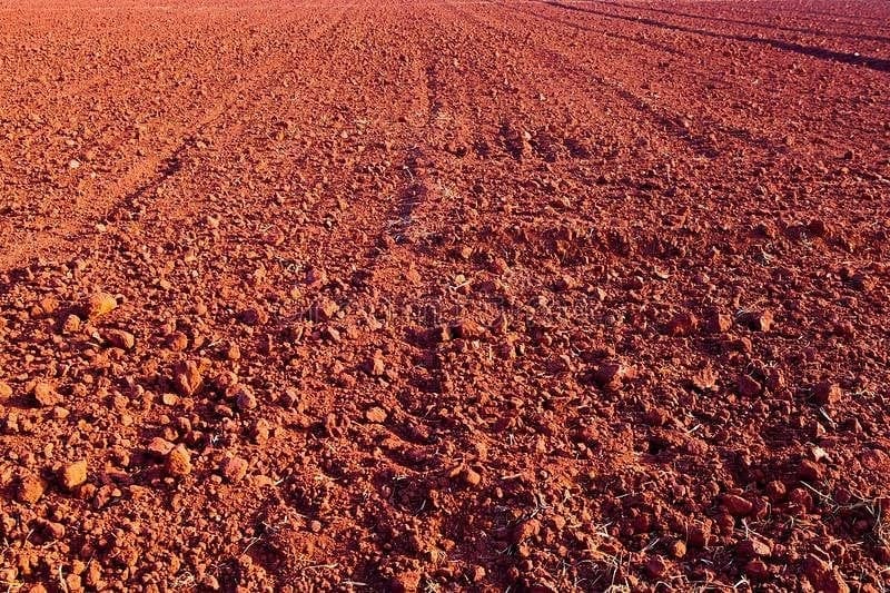 Laterite Soil