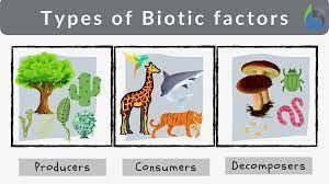 Class 5 Science - Ecosystem Interdependence in Nature - CBSE Worksheets Solutions - 1