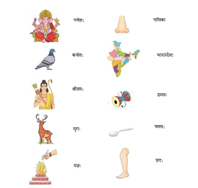 वयम् अभ्यासं कुर्मः