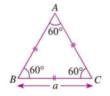 Perimeter and Area Chapter Notes | Mathematics Class 6 ICSE
