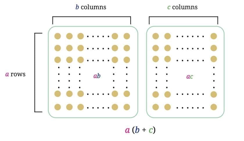 We Distribute, Yet Things Multiply Chapter Notes | Mathematics Class 8- New NCERT (Ganita Prakash)