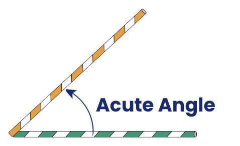 Angles as Turns Chapter Notes | Mathematics (Maths Mela) Class 5 - New NCERT