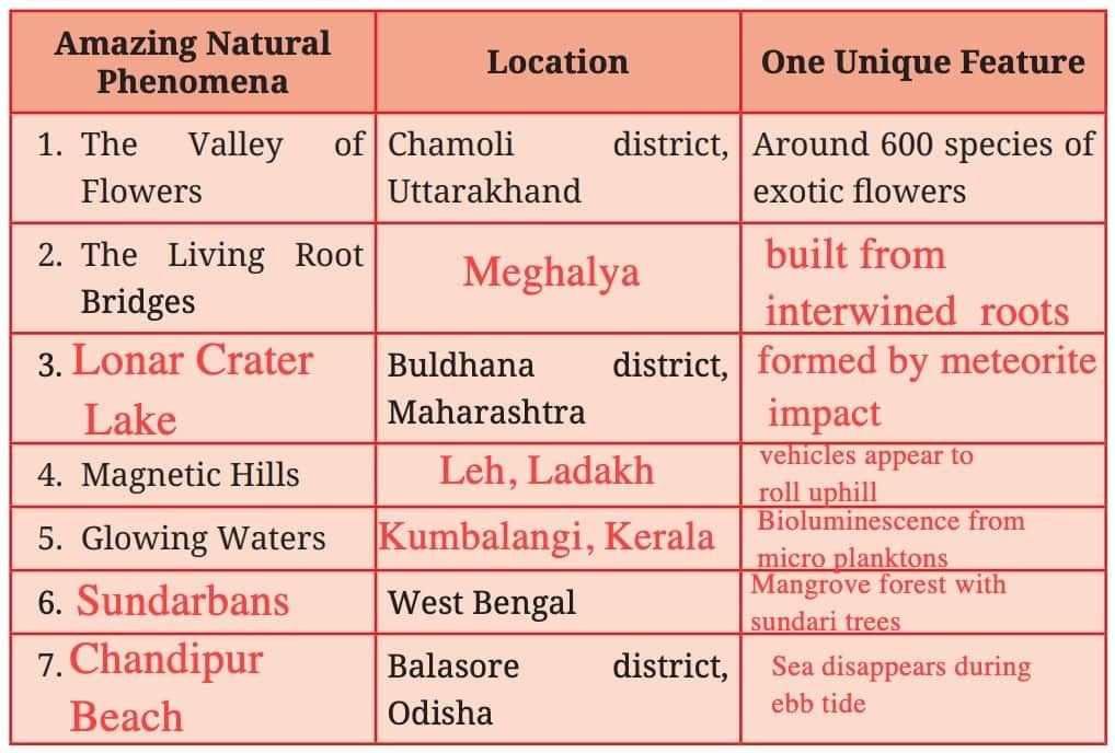Spectacular Wonders NCERT Solutions | English Poorvi Class 8 - New NCERT
