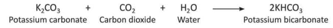 Carbon and Its Compounds Chapter Notes | Chemistry Class 8 ICSE