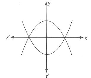 Class 10 Maths Previous Year Questions - Polynomials