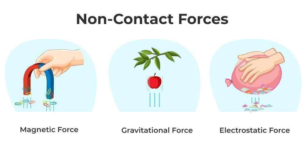 Unit Test (Solutions): Exploring Forces | Science Curiosity Class 8 -  New NCERT