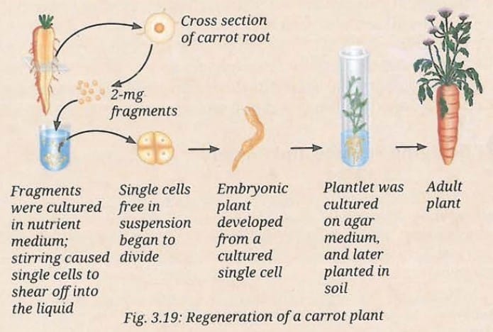 Think as a Scientist