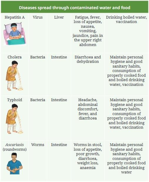 Health: The Ultimate Treasure Chapter Notes | Science Curiosity Class 8 - New NCERT