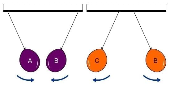 Unit Test: Exploring Forces | Science Curiosity Class 8 -  New NCERT