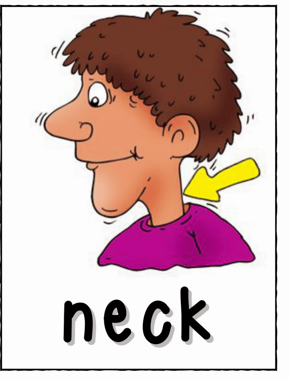 Neck