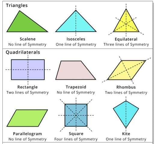 Symmetry, Reflection, and Rotation Chapter Notes | Mathematics Class 7 ICSE