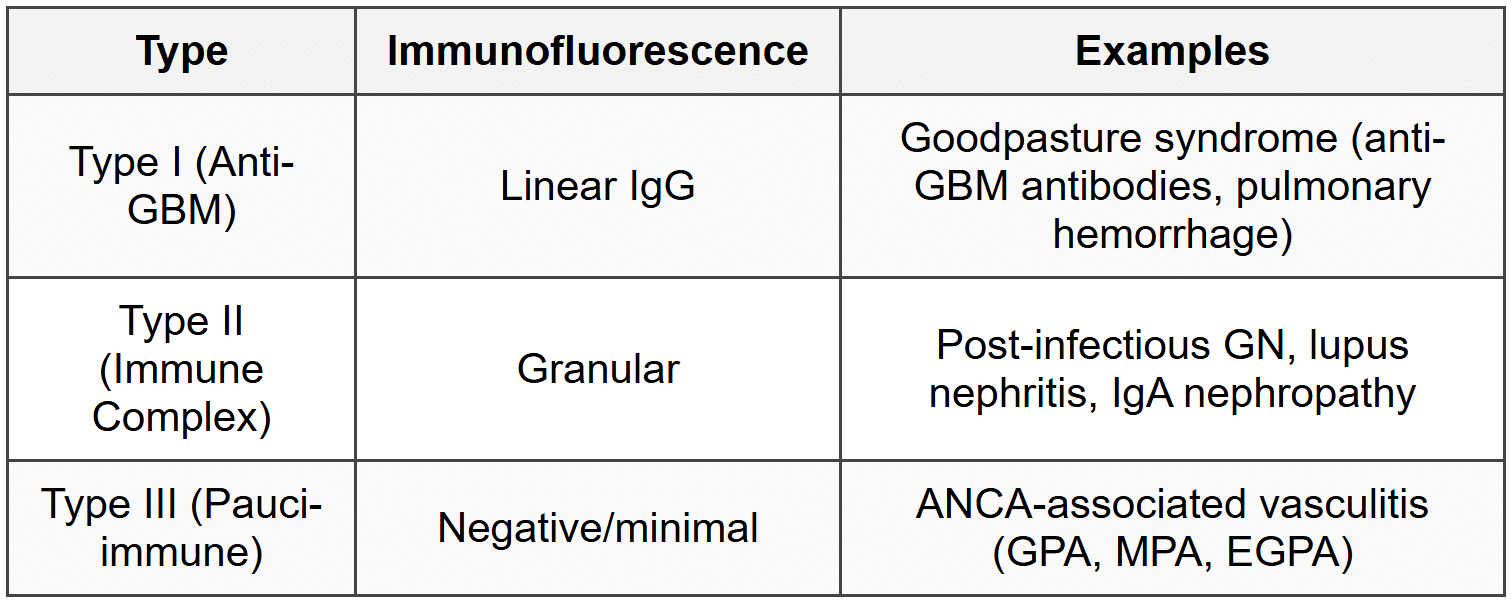 1.8 Rapidly Progressive Glomerulonephritis (RPGN)