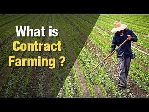 विवेक सिंह का सारांश कृषि - 1 | भारतीय अर्थव्यवस्था (Indian Economy) UPSC CSE के लिए