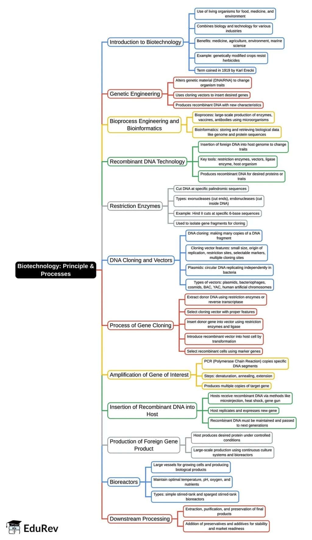 Mind Map: Biotechnology: Principle & Processes