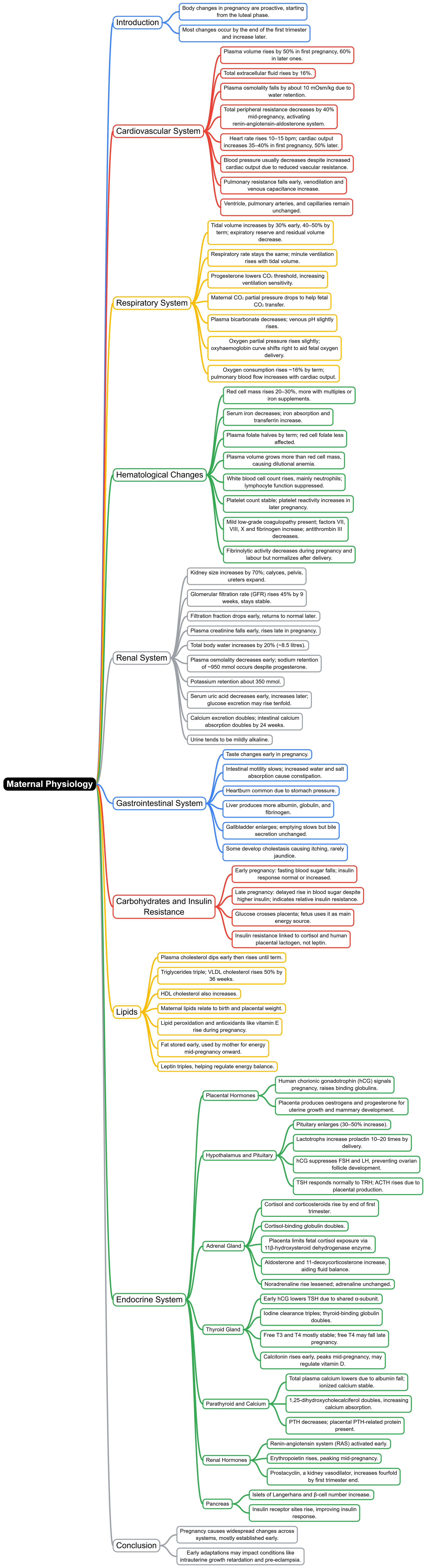 Mind Map: Maternal physiology