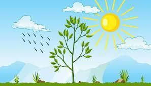 Worksheet: It`s Raining - 1 | EVS for Class 3