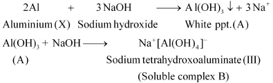 NCERT Solutions Class 11 Chemistry - The p-Block Elements