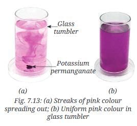 NCERT Based Activity: Particulate Nature of Matter | Science Curiosity Class 8 -  New NCERT