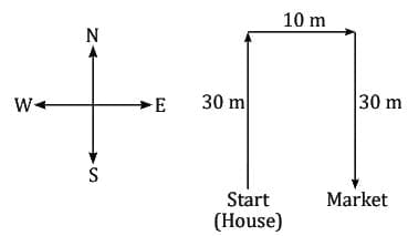 MCQs`: Direction Tests