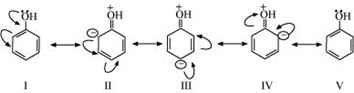 NCERT Solutions Class 11 Chemistry Chapter 8 - Organic Chemistry - Some Basic Principles & Techniques