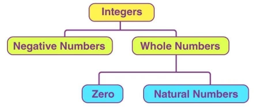 Integers, Rational Numbers, and the Coordinate Plane Chapter Notes | Preparation for EmSAT Grade 6