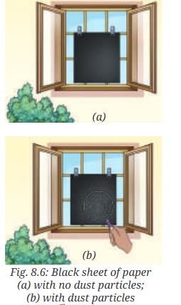 NCERT Based Activity: Nature of Matter: Elements, Compounds, and Mixtures | Science Curiosity Class 8 -  New NCERT