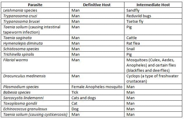 General Parasitology Chapter Notes | Microbiology - NEET PG