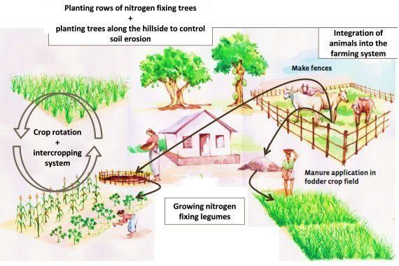 Vivek Singh Summary Agriculture - 2 | Indian Economy for UPSC CSE