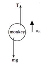 JEE Main Previous Year Questions (2016- 2025): Laws of Motion