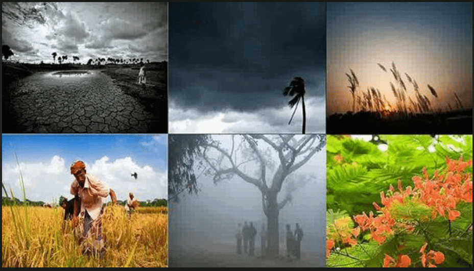 Weather, Seasons, and the Climate