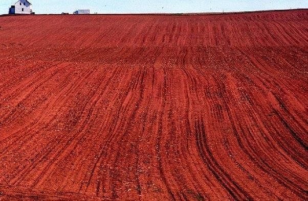 Red Soil