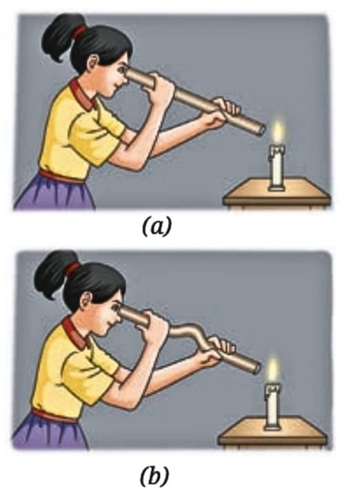 Light: Shadows and Reflections Class 7 Notes Science Chapter 11 Free PDF