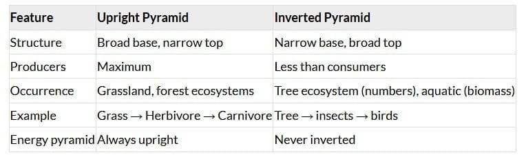 NCERT Solutions: Ecosystem