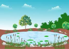 Short Questions: Pani re Pani