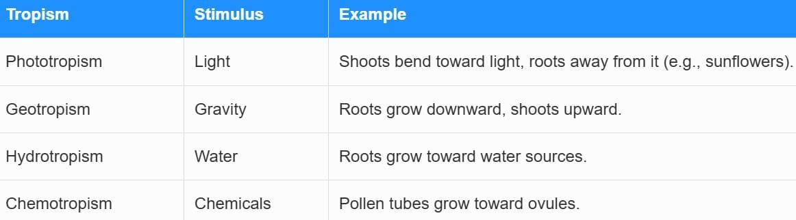 Cheat Sheet: Control and Coordination | Science Class 10