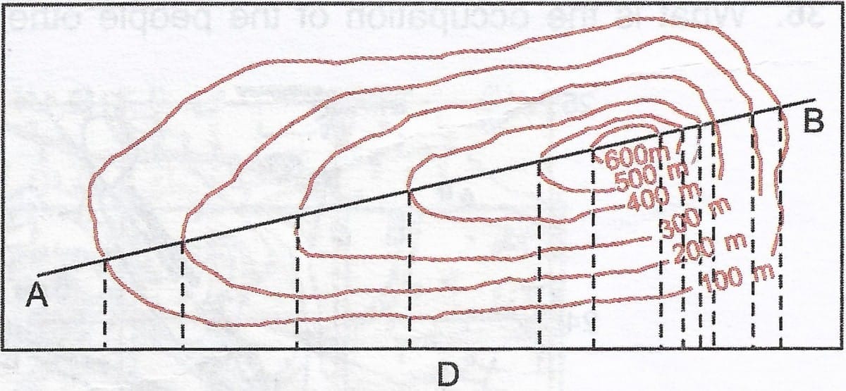 Ans: the following questions