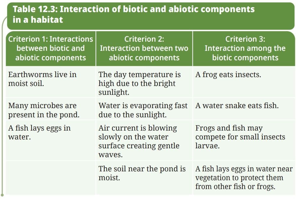 NCERT Based Activity: How Nature Works in Harmony | Science Curiosity Class 8 -  New NCERT
