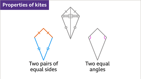 Properties of Quadrilaterals - Year 7