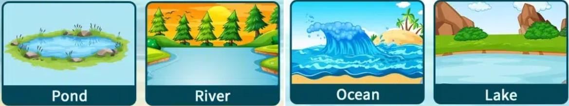 Worksheet: Water - The Essence of Life | Our Wondrous World  Class 5 - New NCERT