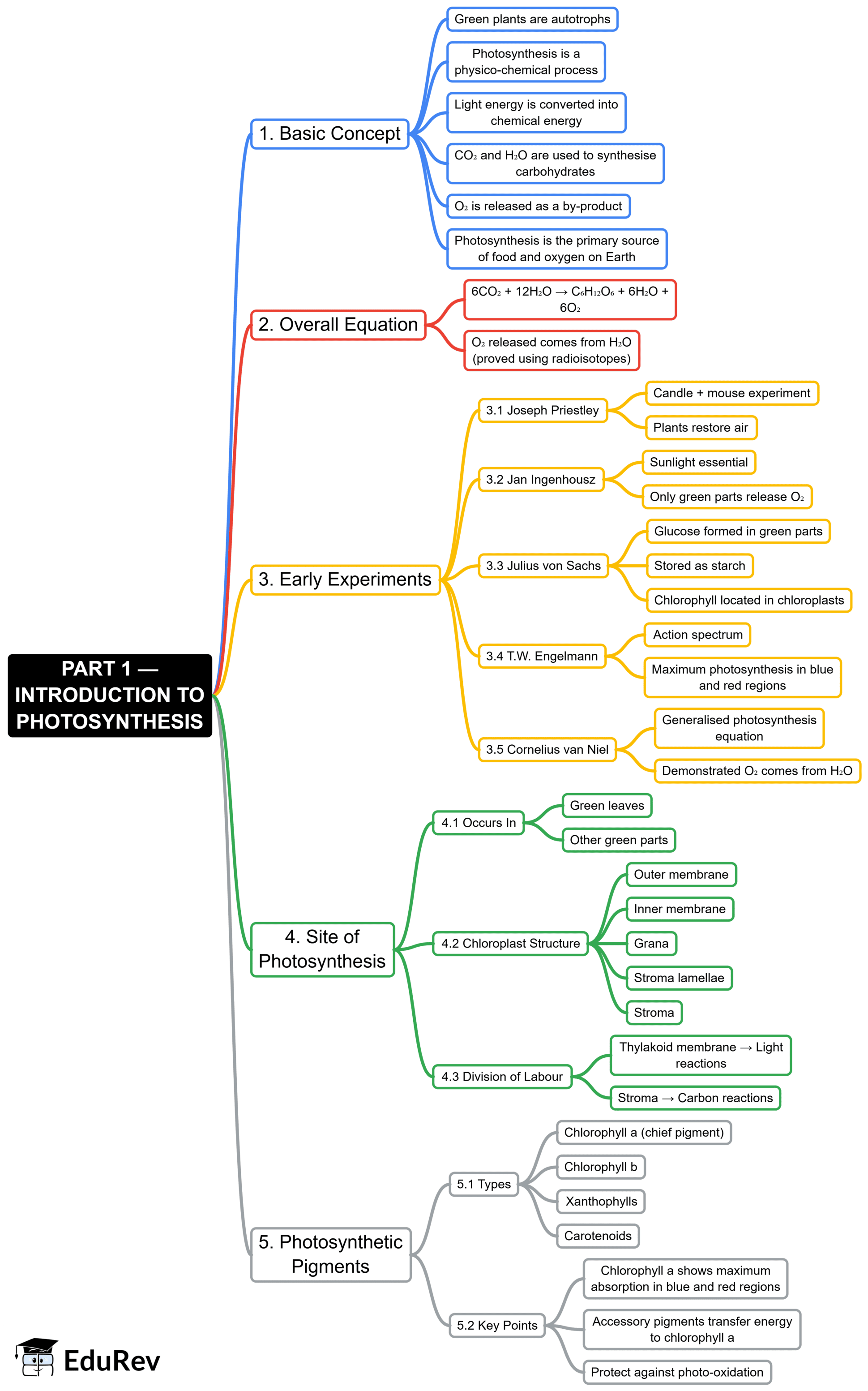 Mind Map: Photosynthesis in Higher Plants