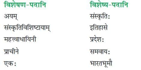 सप्तभगिन्यः NCERT Solutions | संस्कृत कक्षा 8 (Sanskrit Class 8)