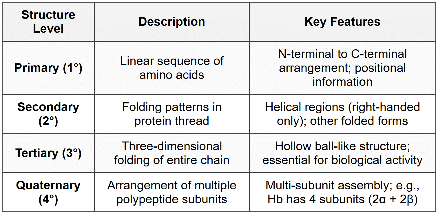 6. Summary Table: Four Levels of Protein Structure